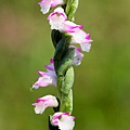 IMG_4359.jpg