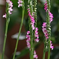IMG_4663.jpg