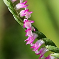 IMG_5163.jpg
