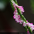 IMG_5534.jpg
