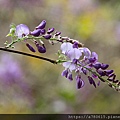IMG_4792.jpg