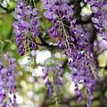 IMG_5418.jpg