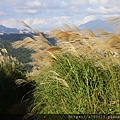 IMG_4853.jpg