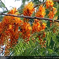 IMG_8267.jpg