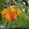IMG_8282.jpg