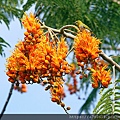IMG_8292.jpg