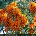 IMG_8333.jpg
