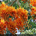 IMG_8332.jpg