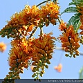 IMG_8324.jpg