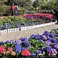 IMG_8507.JPG