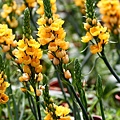 IMG_1079.JPG