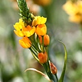 IMG_1082.JPG