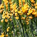 IMG_1088.JPG