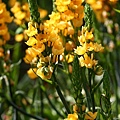 IMG_1095.JPG