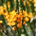 IMG_1093.JPG