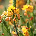 IMG_1071.JPG