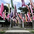 IMG_9953.JPG