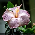 IMG_1379.JPG
