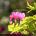 IMG_0670.JPG