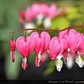 IMG_0672.JPG