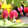 IMG_0687.JPG