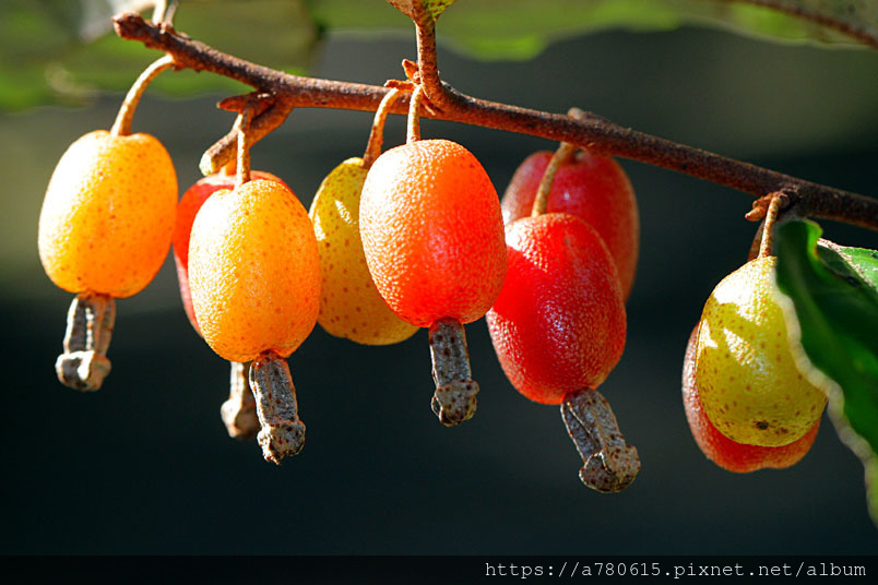 721849421.jpg 721849421.jpg