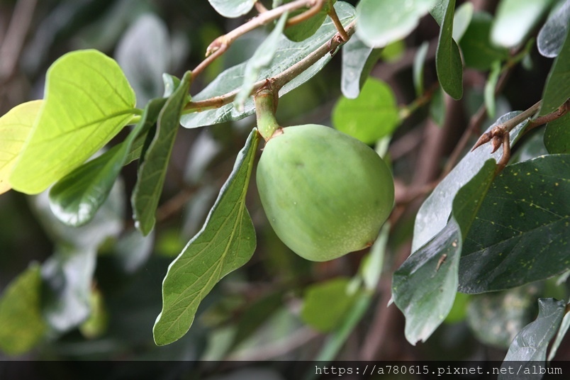 IMG_2623.JPG IMG_2623.JPG