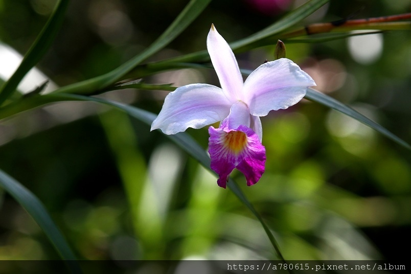 IMG_2673.JPG IMG_2673.JPG