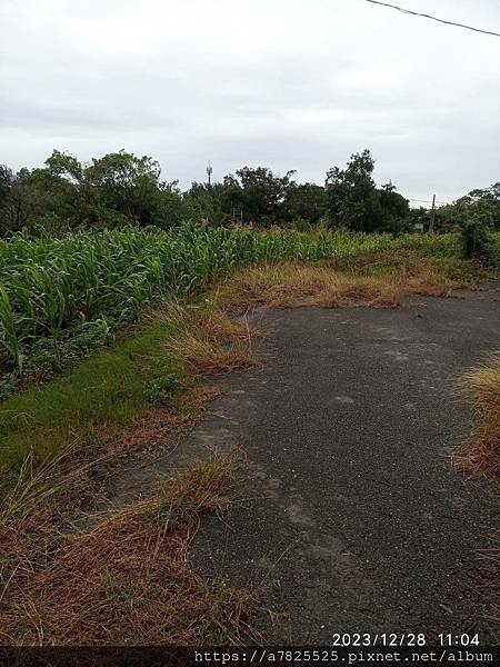 水林蔦松建地  地 347.57坪  售 3.8萬/坪