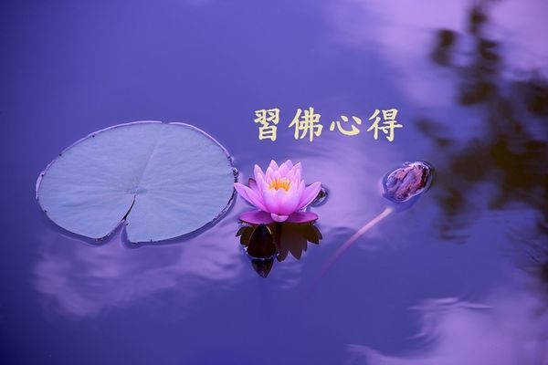 第三世多杰羌佛.jpg 第三世多杰羌佛.jpg