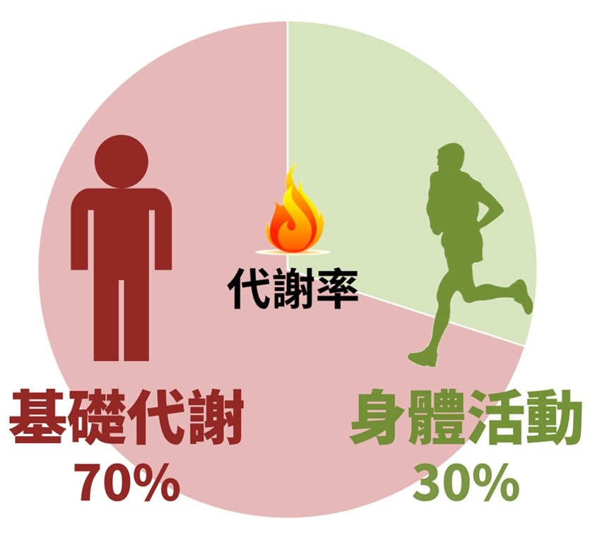 全新生活完整概念 Tls 真實經驗分享 新時代美安異言堂 痞客邦