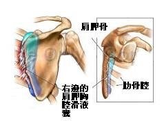 ap_F23_20090911064929982.jpg