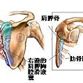 ap_F23_20090911064929982.jpg