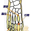 穴道圖004.jpg