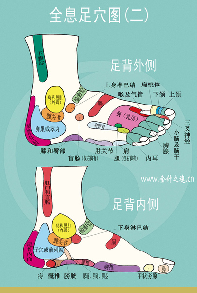 foot7.jpg foot7.jpg