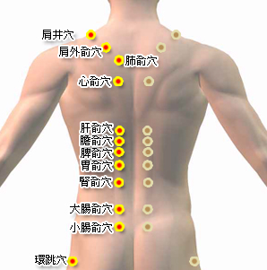 背部太陽膀胱經穴位.jpg 背部太陽膀胱經穴位.jpg