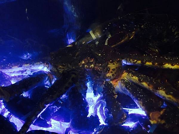 小當家海鮮鍋物 小當家海鮮鍋物