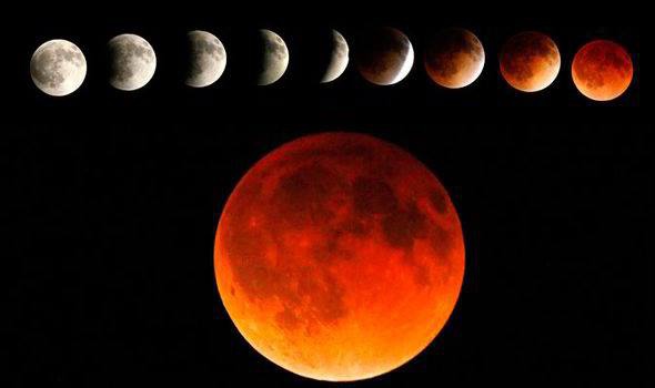 12240059_881217631985466_3984675575505974838_n[2].jpg