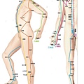 12經脈的運行路線-2.jpg