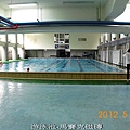7游泳池-馬賽克磁磚.jpg