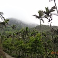 2014 03獨立山+安平+墾丁 170.JPG