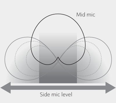 illustration-ms-general