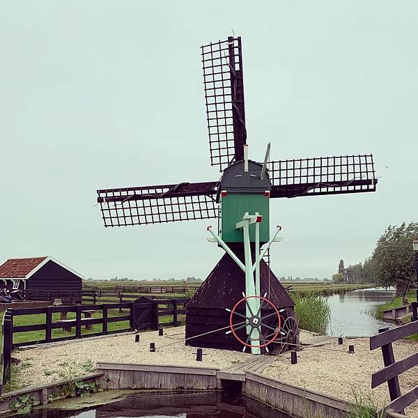 580CE003-AC3E-4061-9EA0-F9E45E131B1F.jpeg 580CE003-AC3E-4061-9EA0-F9E45E131B1F.jpeg