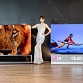 2021 LG OLED evo創視際以先進的 OLED 自體發光技術，結合 AI 科技、嶄新規格、智慧串聯及絕美輕薄外型，賦予電視全新意涵，豐富對「視」界的想像。