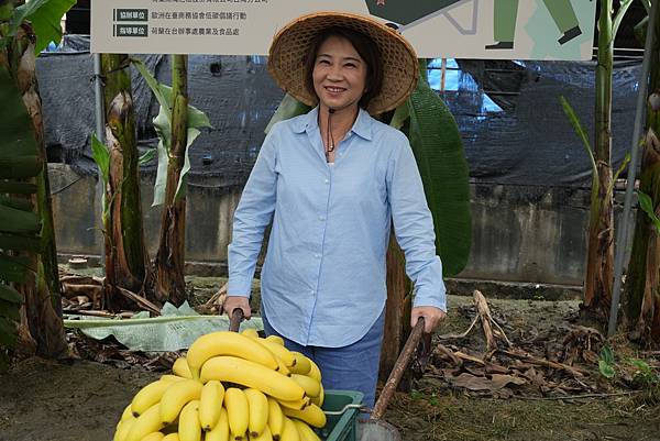 圖一、今（9）日海尼根台灣與屏東縣政府攜手合作，別出心裁在屏東萬丹香蕉果園舉辦了頒獎典禮，屏東縣縣長周春米以蕉農身份親自推著收成車出現