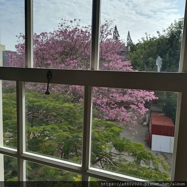 最美的古蹟圖書館限定美景！