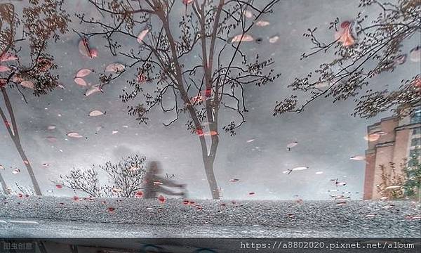 童子解吟長恨曲，胡兒能唱琵琶篇