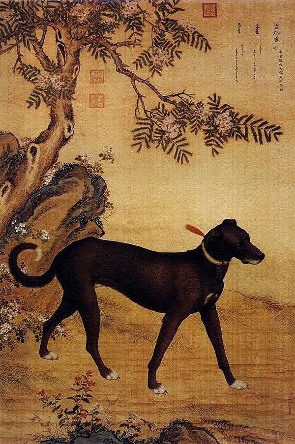 郎世寧 犬