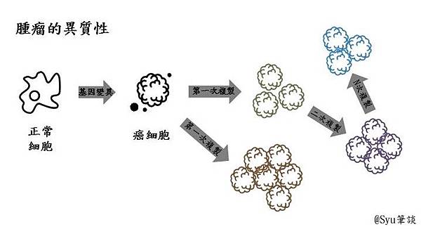 癌腫瘤異質性.jpg