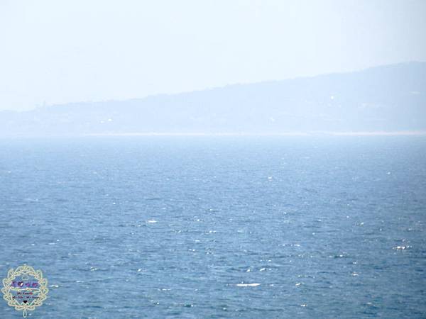 10.JPG 10.JPG